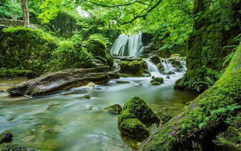 高端智能智能系统